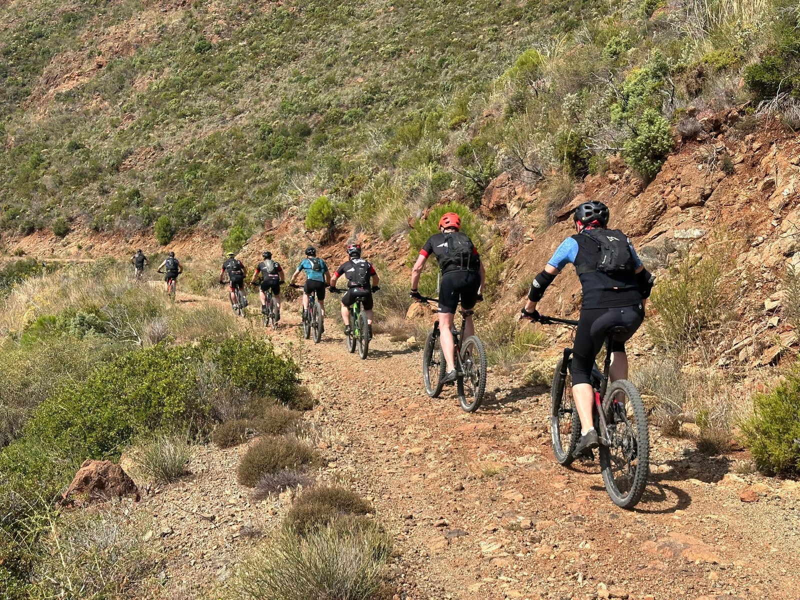 Amazing Trails